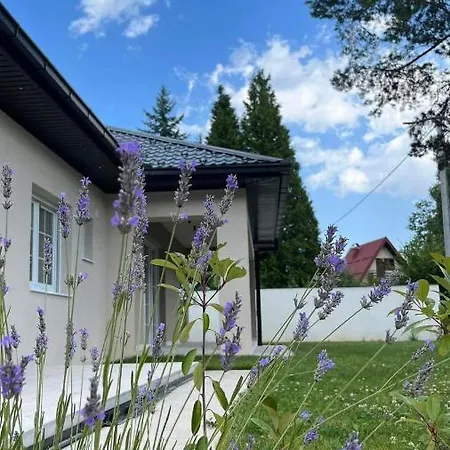 Aida Villa *