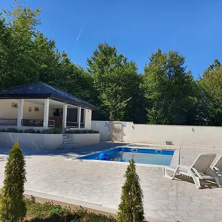 Aida Villa *